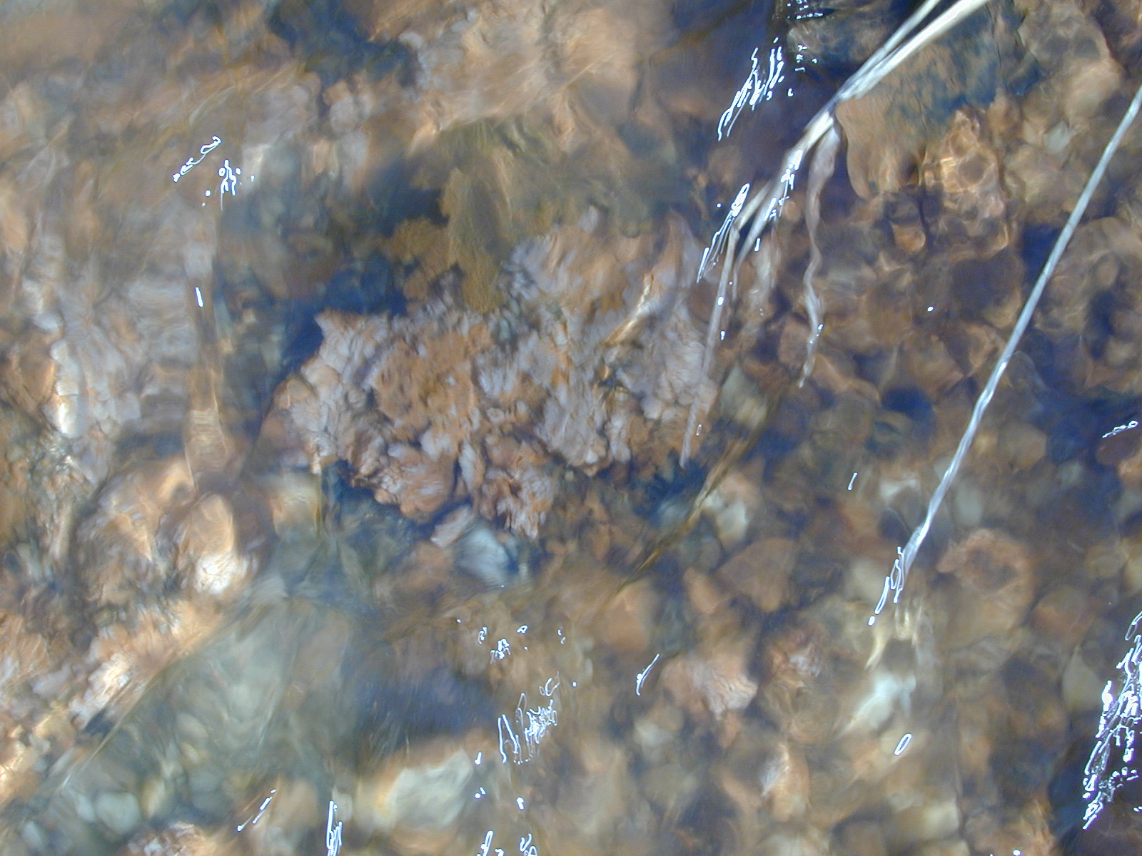 Field photo showing stream conditions at site PISC-105-R-2001-120