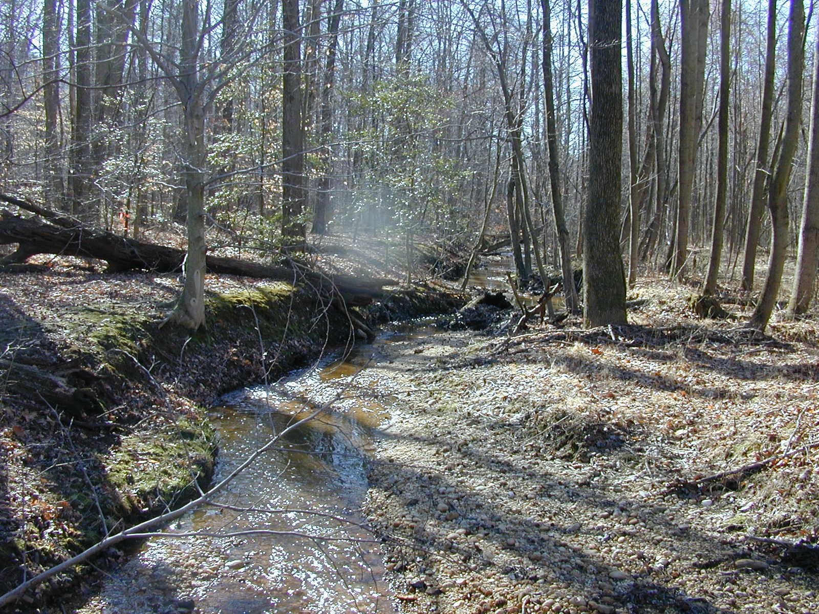 Field photo showing stream conditions at site PISC-105-R-2001-123
