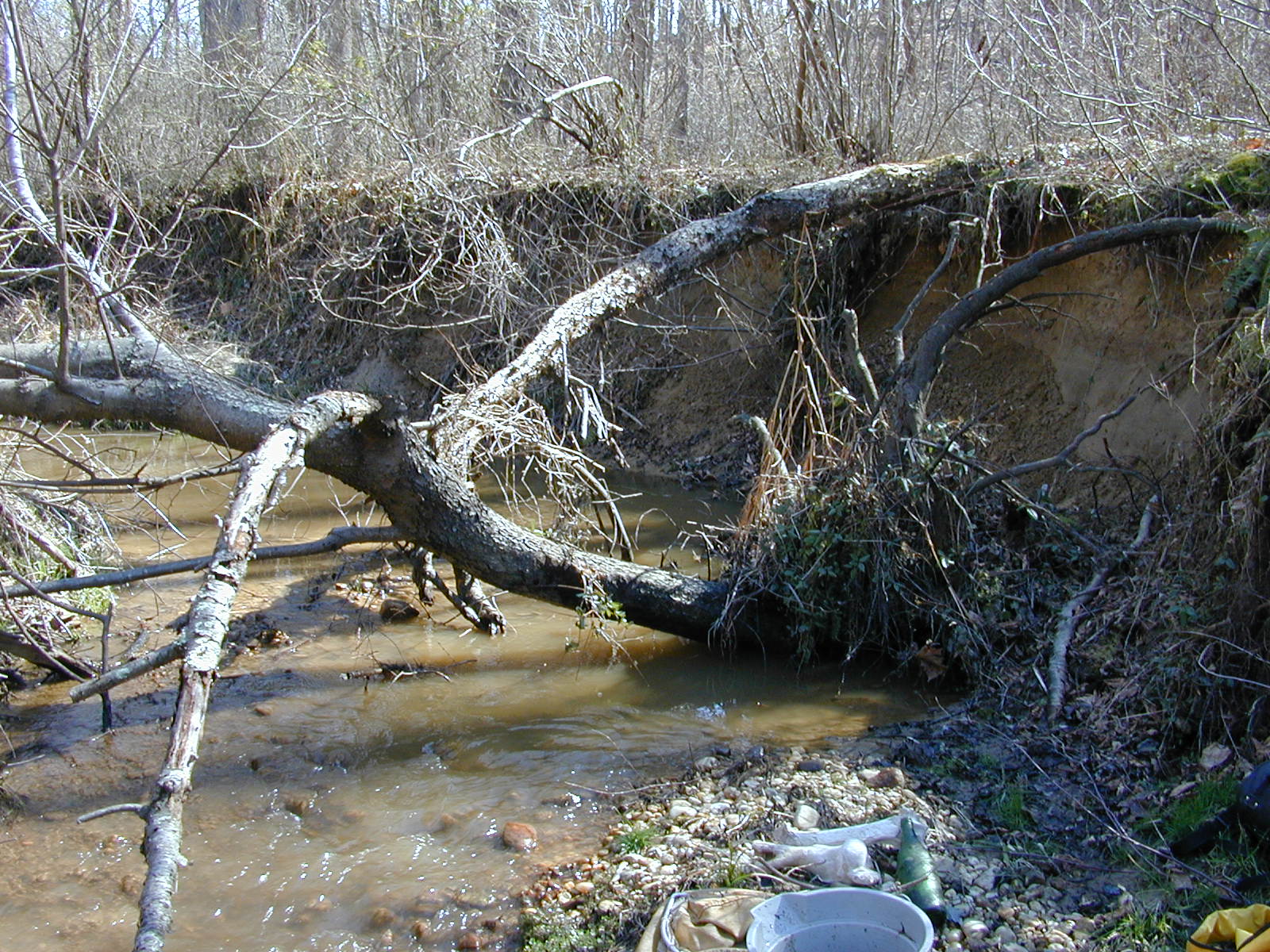 Field photo showing stream conditions at site PISC-106-R-2001-103