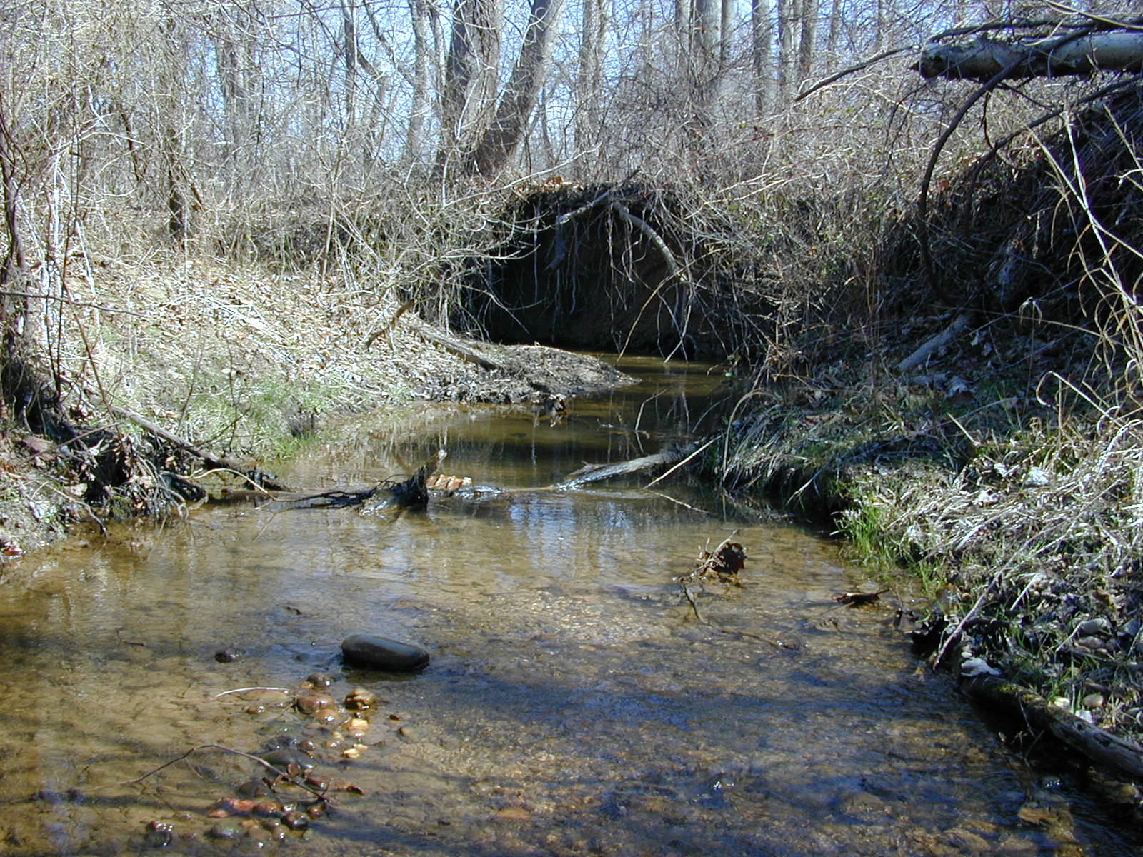 Field photo showing stream conditions at site PISC-106-R-2001-104