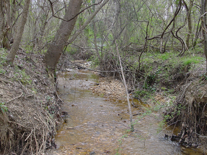 Field photo showing stream conditions at site PISC-107-B-2007-1
