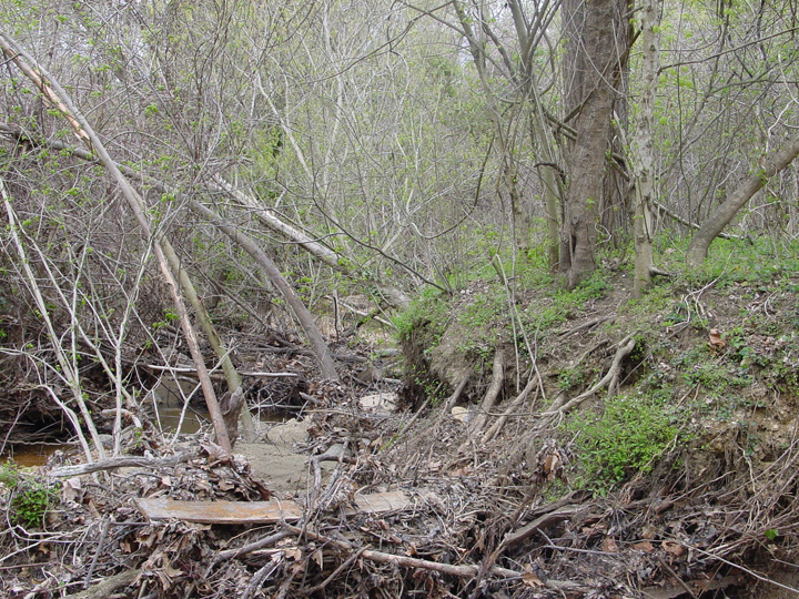 Field photo showing stream conditions at site PISC-107-B-2007-2