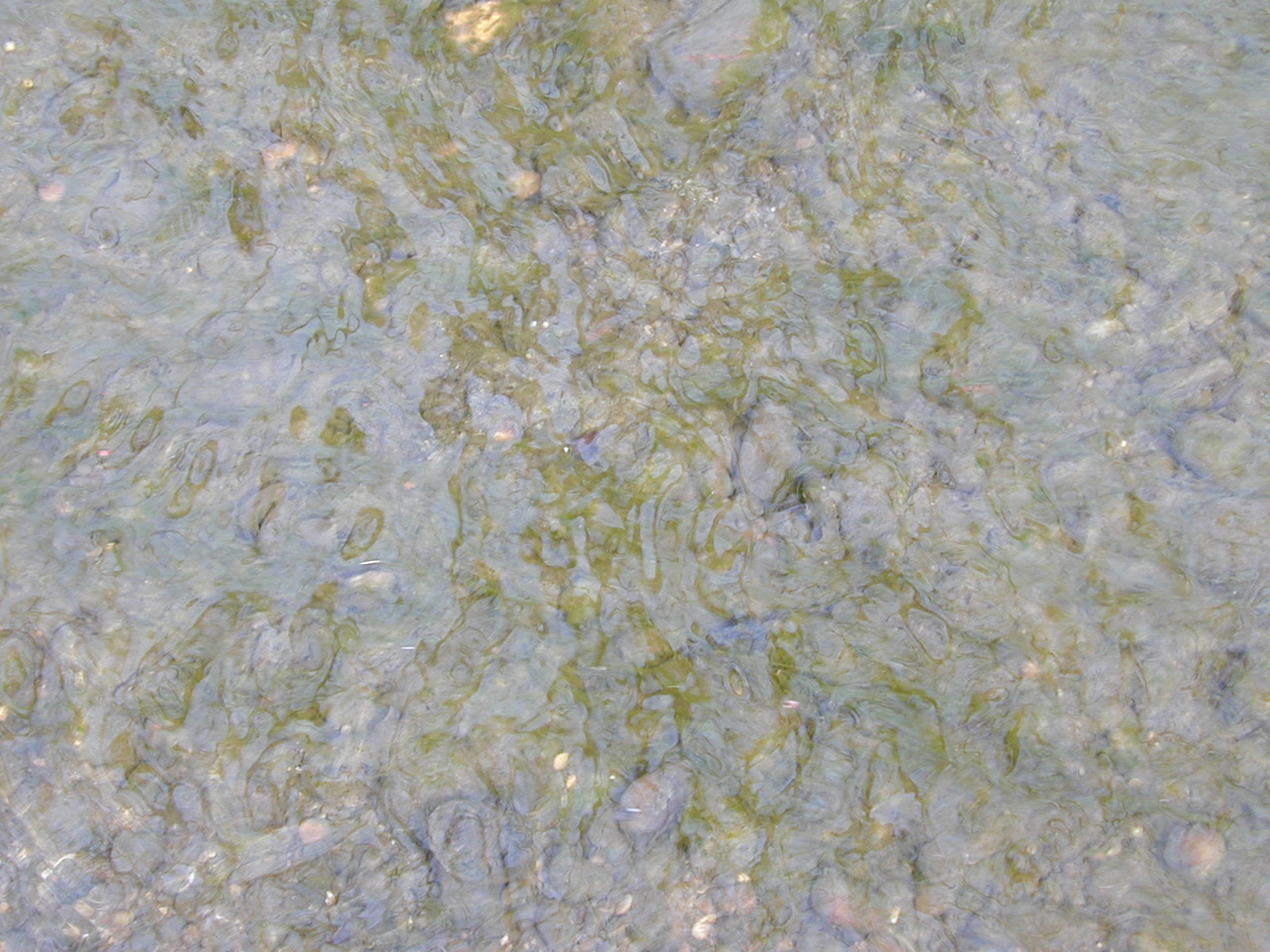 Field photo showing stream conditions at site PISC-109-R-2001-24