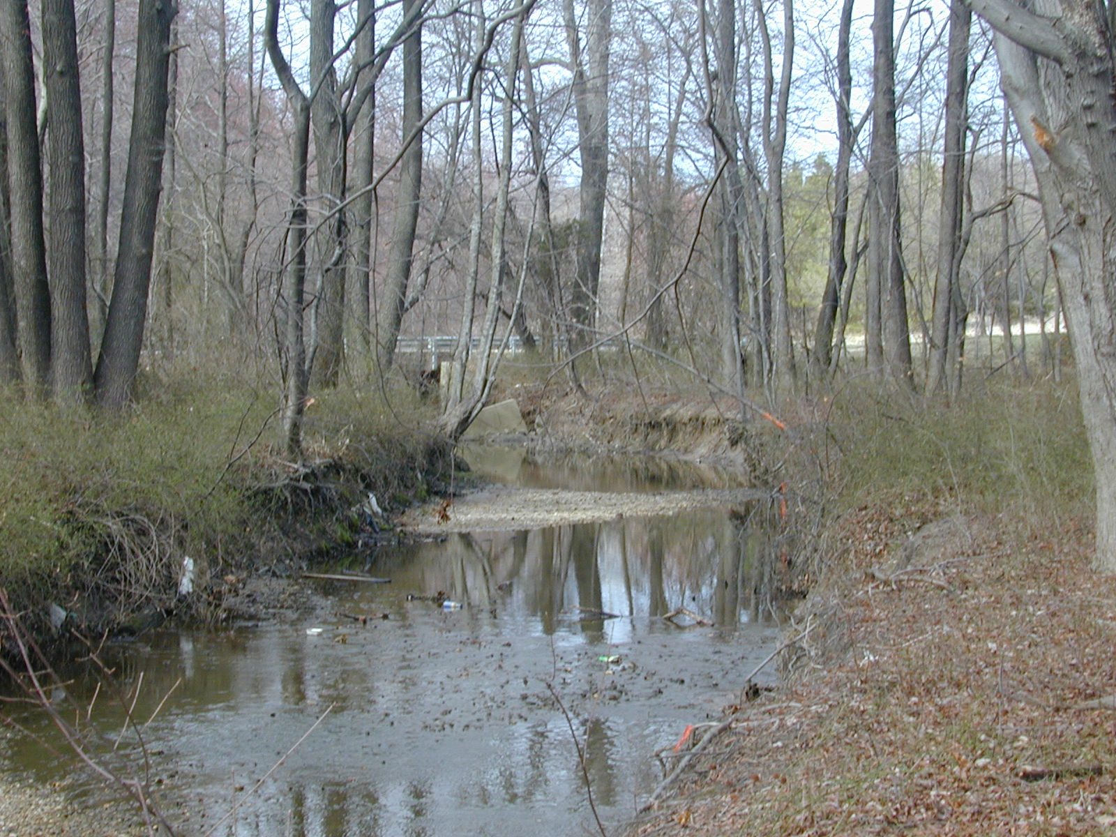 Field photo showing stream conditions at site PISC-109-R-2001-26