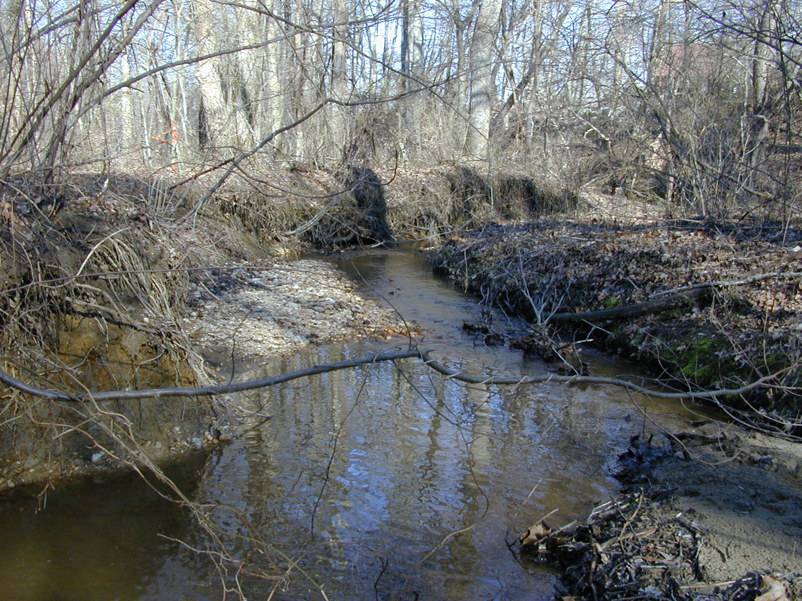 Field photo showing stream conditions at site PISC-112-R-2001-101