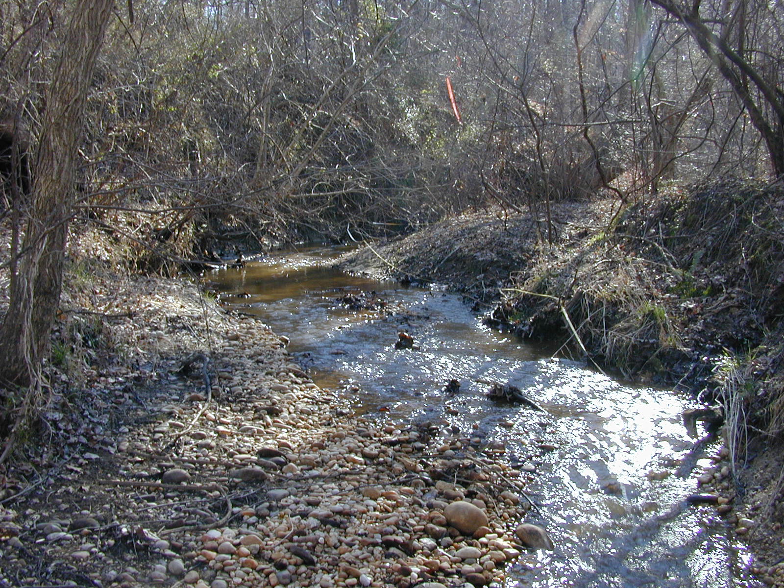 Field photo showing stream conditions at site PISC-112-R-2001-102