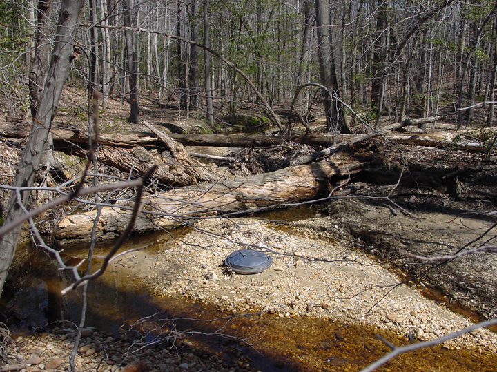 Field photo showing stream conditions at site PISC-113-B-2007-1