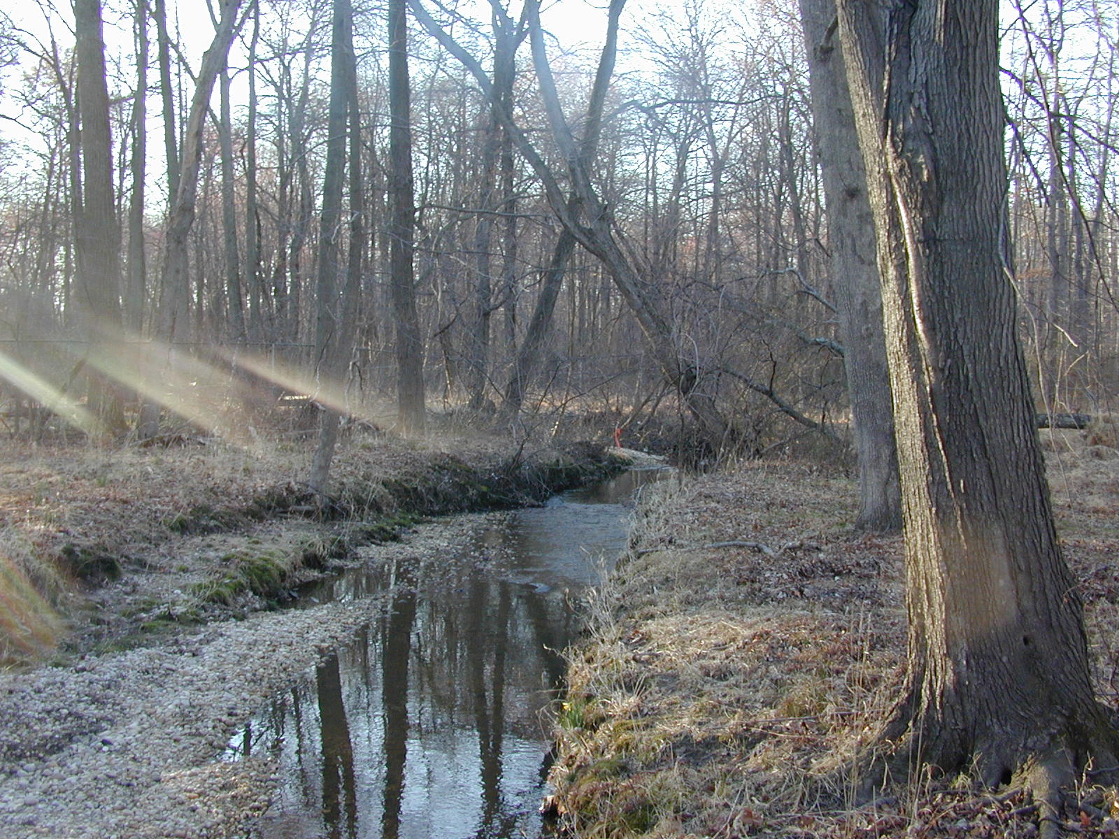 Field photo showing stream conditions at site PISC-113-R-2001-5
