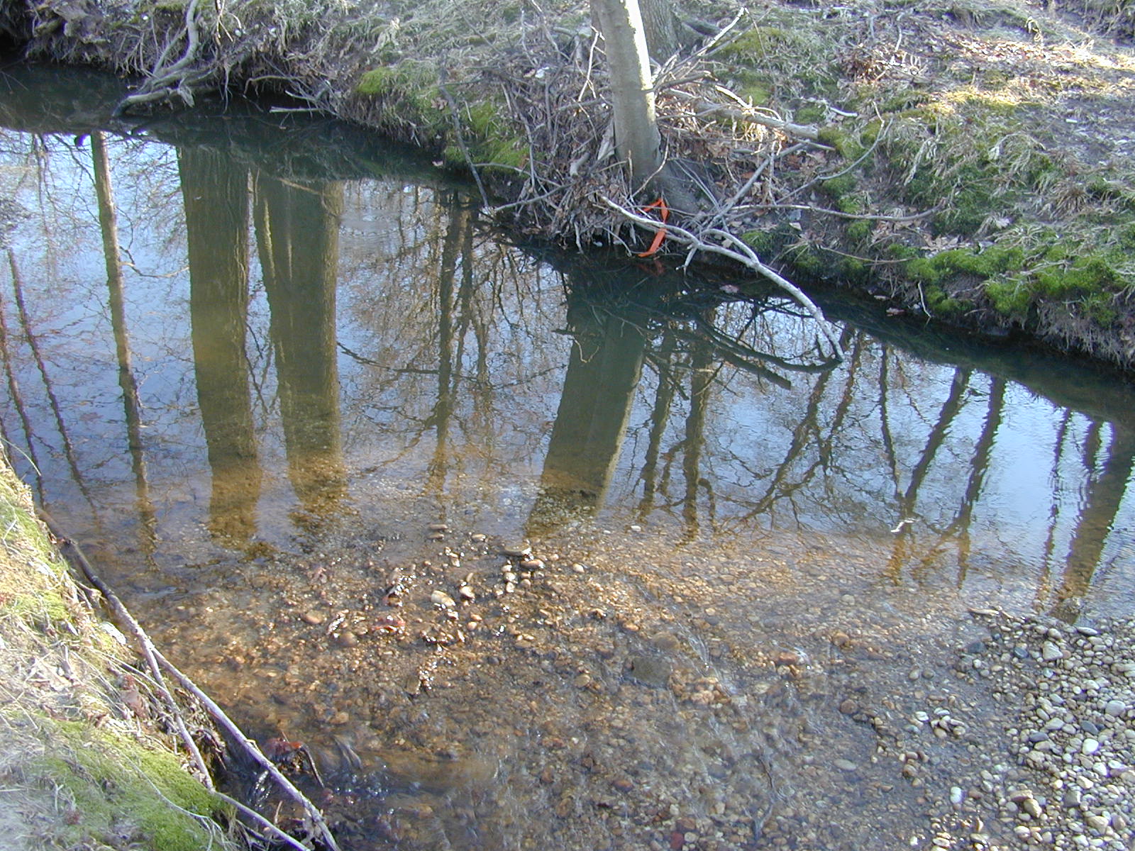 Field photo showing stream conditions at site PISC-113-R-2001-6