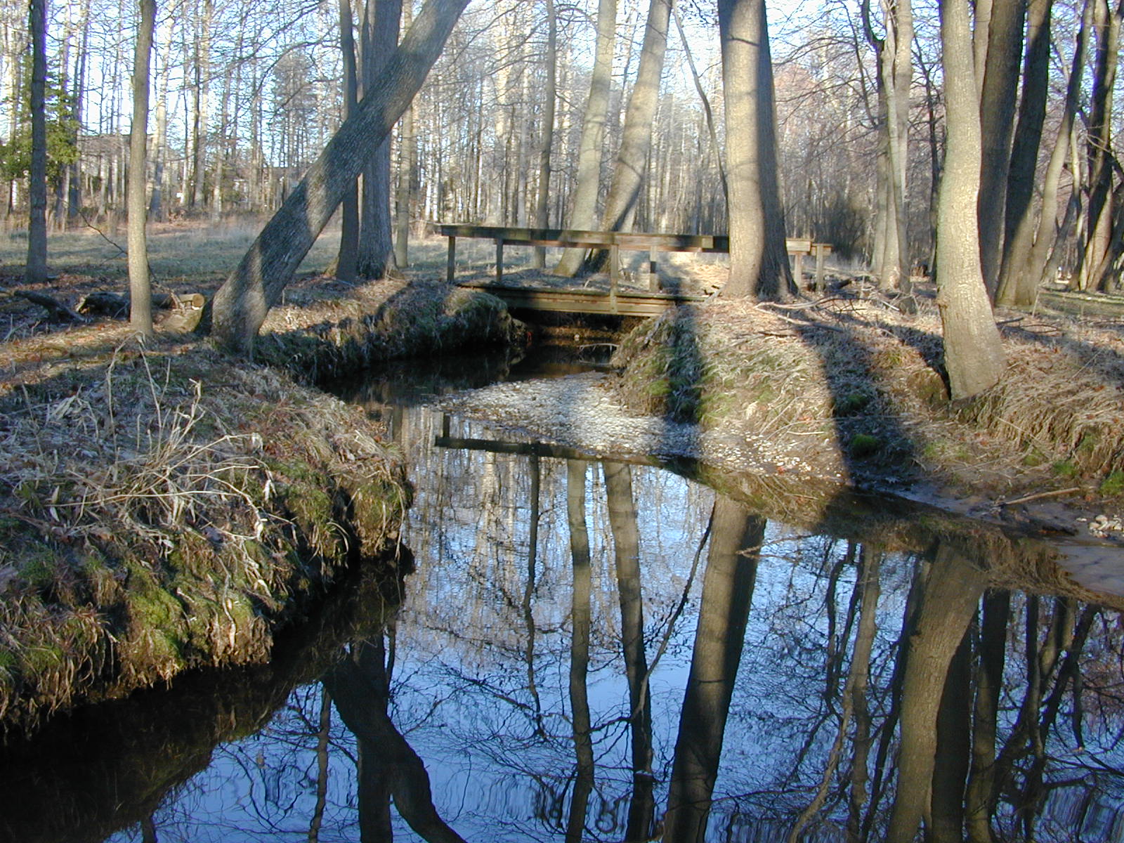 Field photo showing stream conditions at site PISC-113-R-2001-7