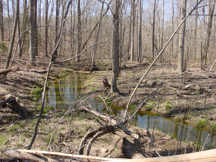 Field photo showing stream conditions at site PISC-114-B-2007-1