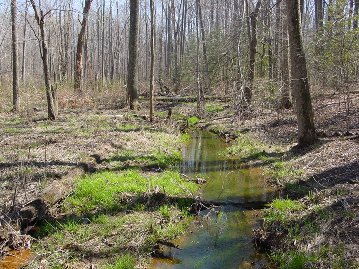 Field photo showing stream conditions at site PISC-114-B-2007-2
