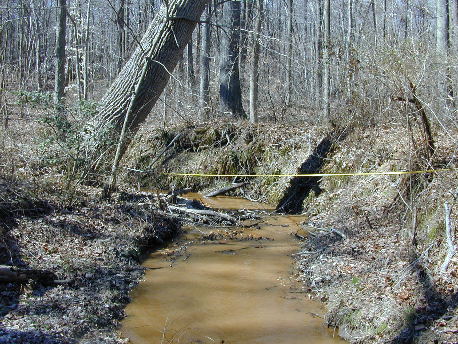 Field photo showing stream conditions at site PISC-115-R-2001-105