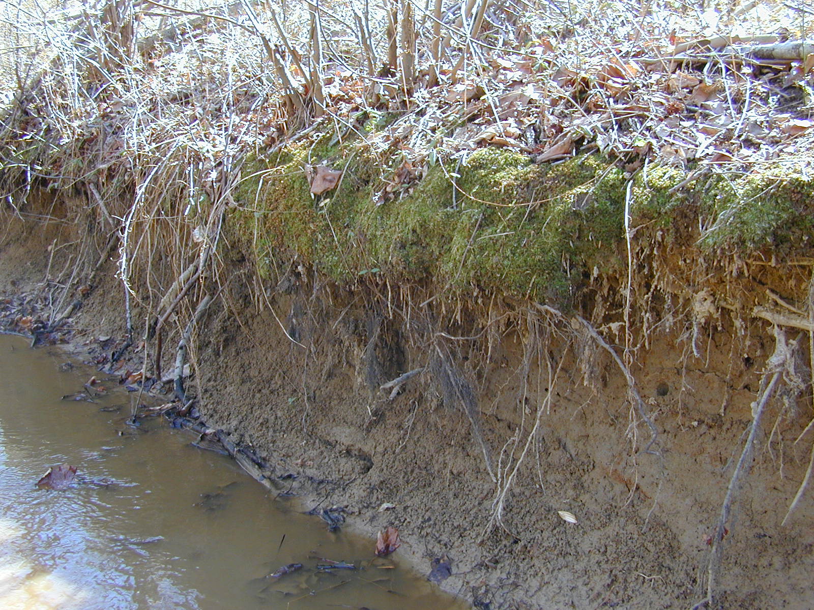Field photo showing stream conditions at site PISC-115-R-2001-106