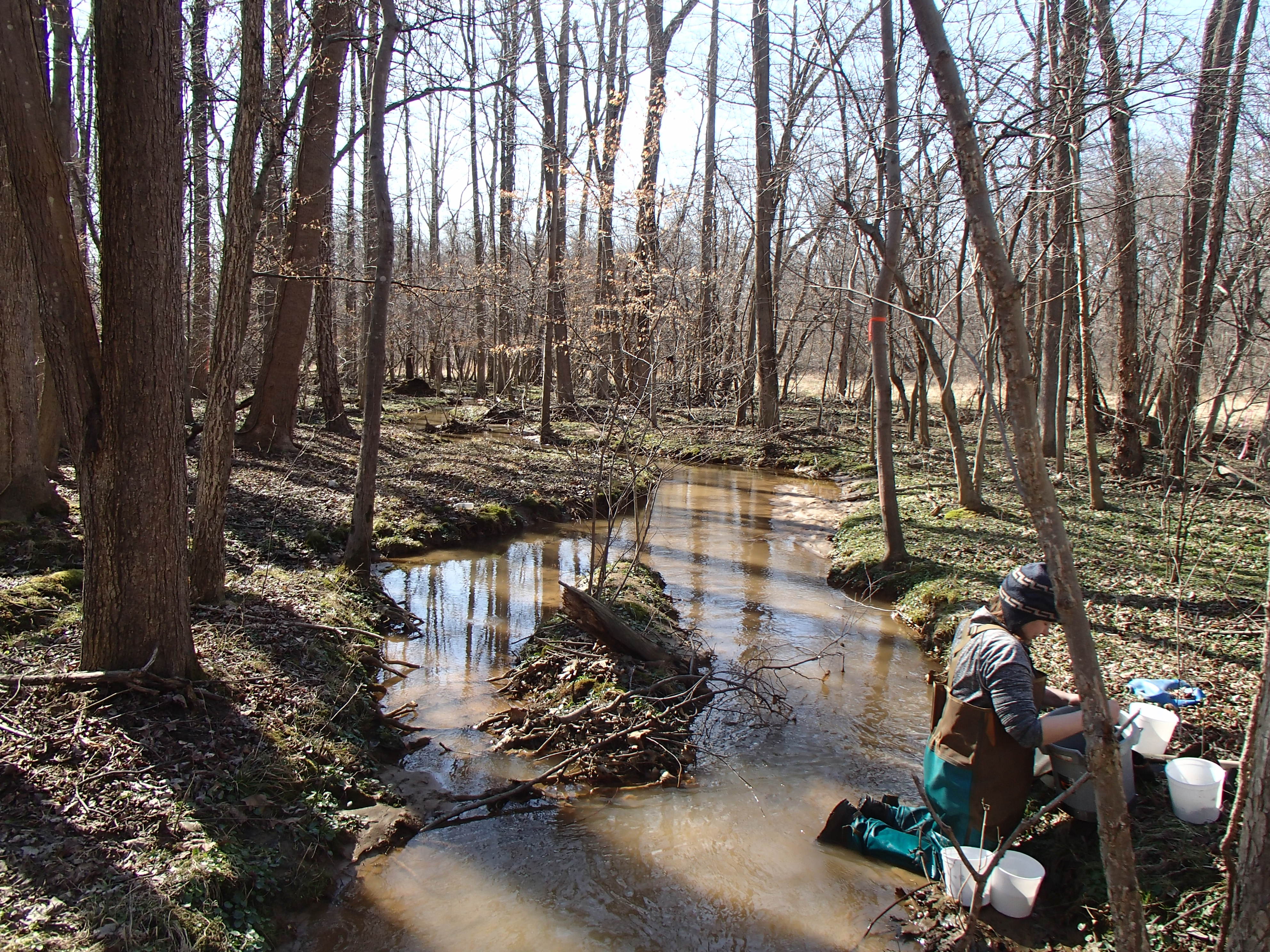 Field photo showing stream conditions at site PISC-115-R-2015_Midpoint-looking-downstream