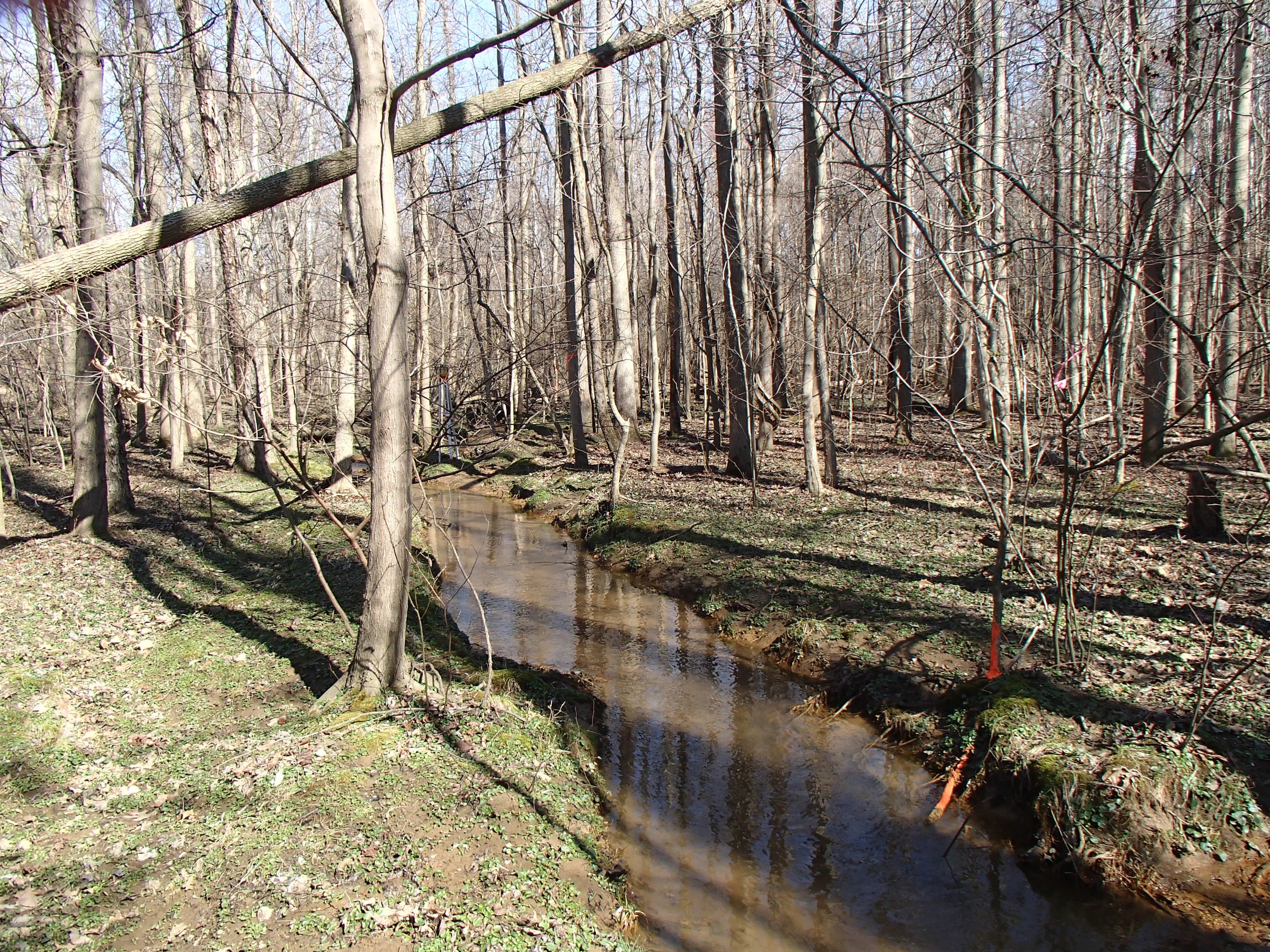 Field photo showing stream conditions at site PISC-115-R-2015_Midpoint-looking-upstream