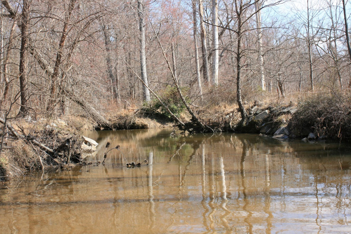Field photo showing stream conditions at site PISC-201-A-2011-1