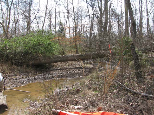 Field photo showing stream conditions at site PISC-201-A-2012-1