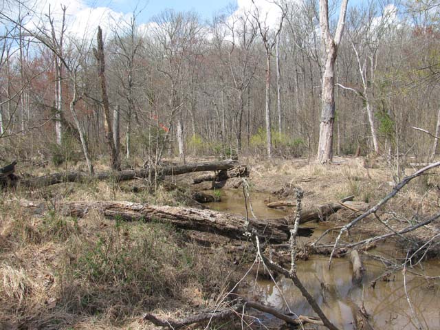 Field photo showing stream conditions at site PISC-201-A-2012-2