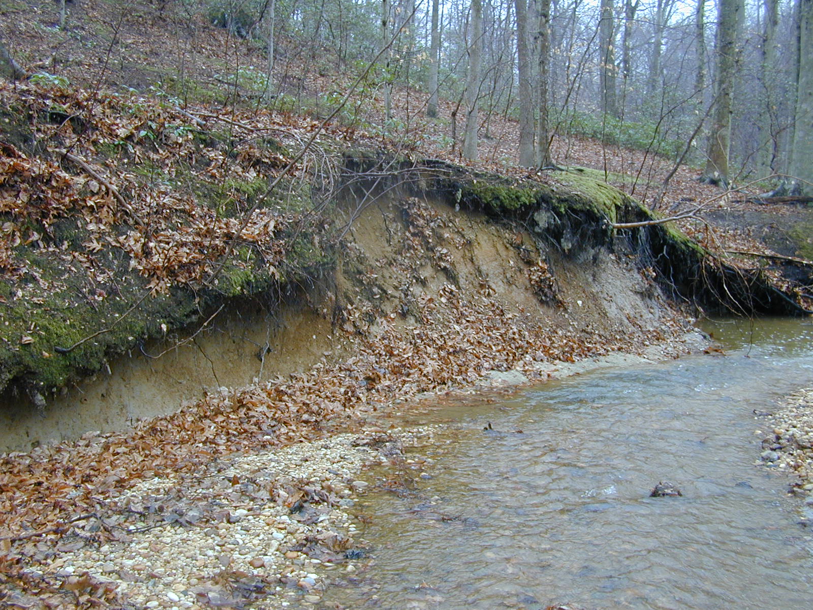Field photo showing stream conditions at site PISC-201-R-2001-10