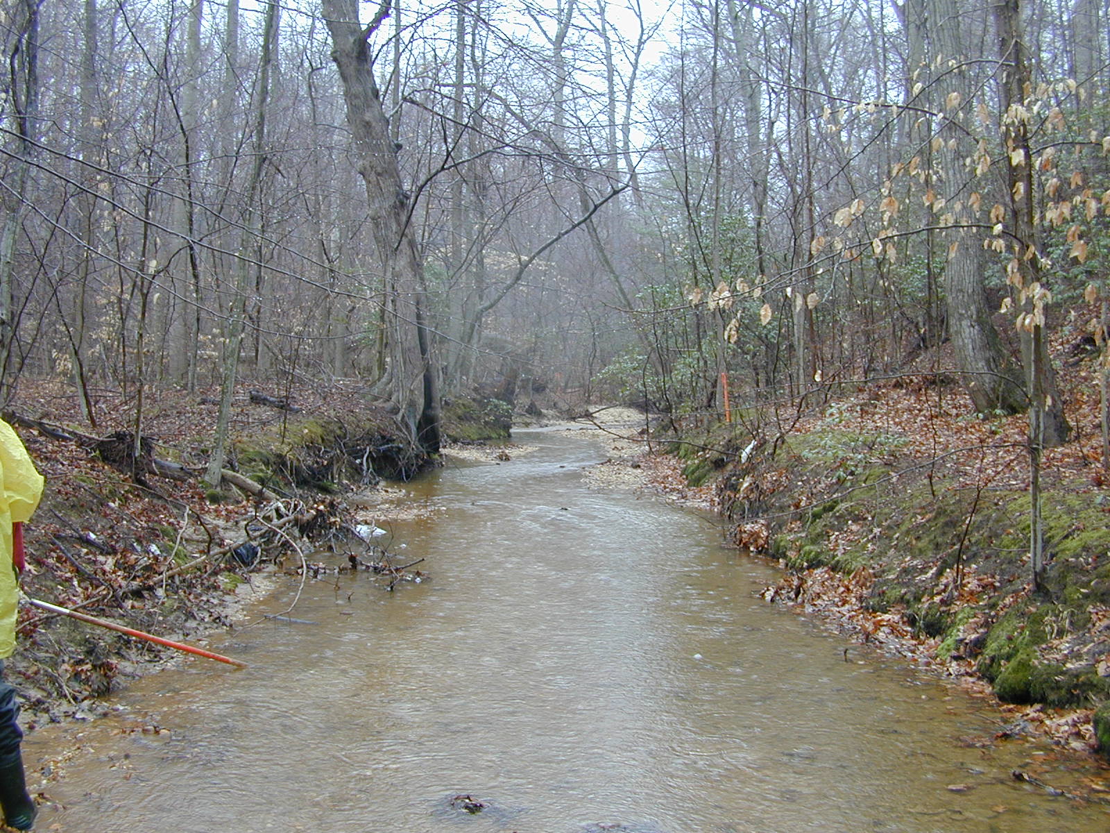 Field photo showing stream conditions at site PISC-201-R-2001-11