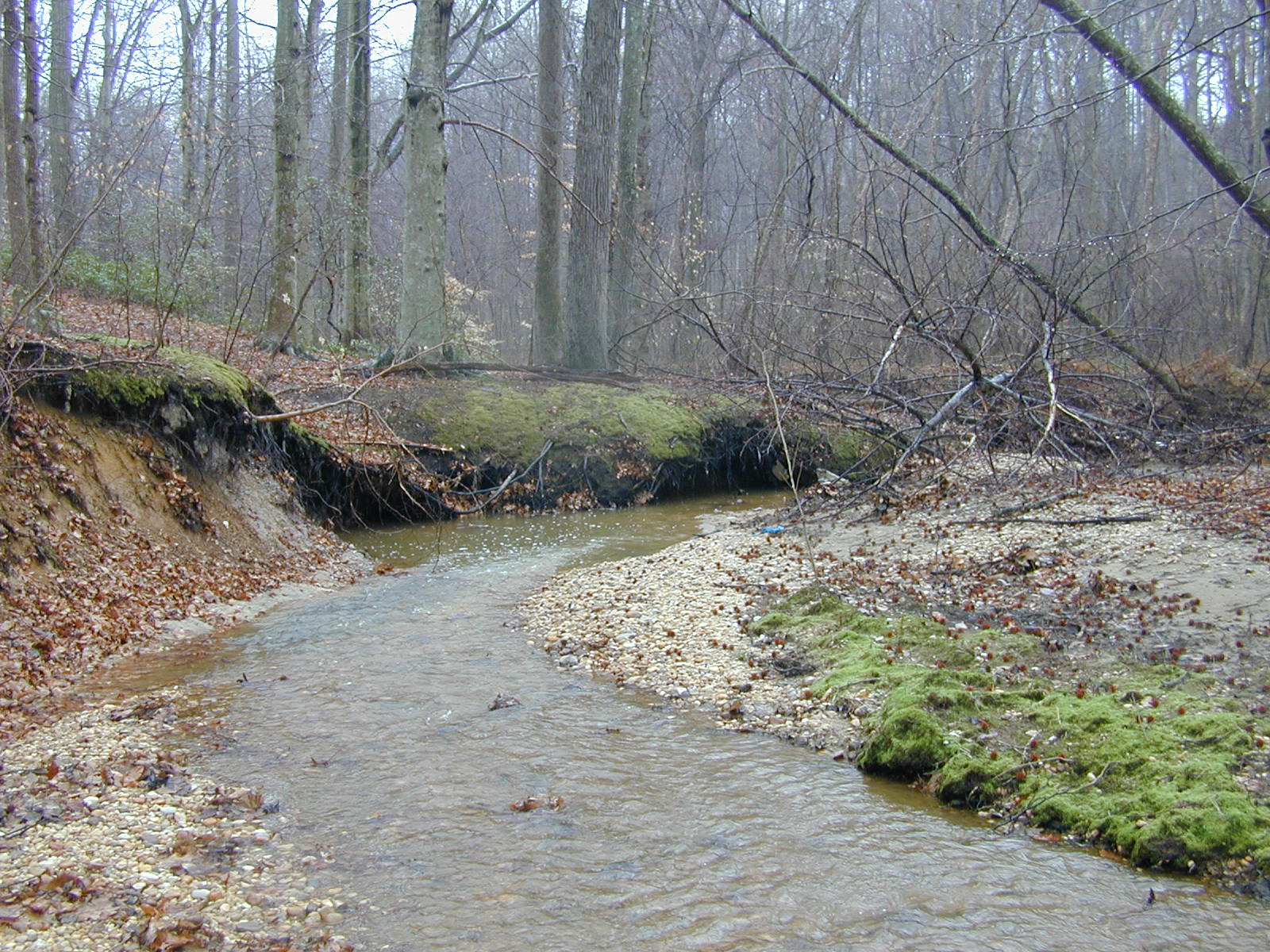 Field photo showing stream conditions at site PISC-201-R-2001-9