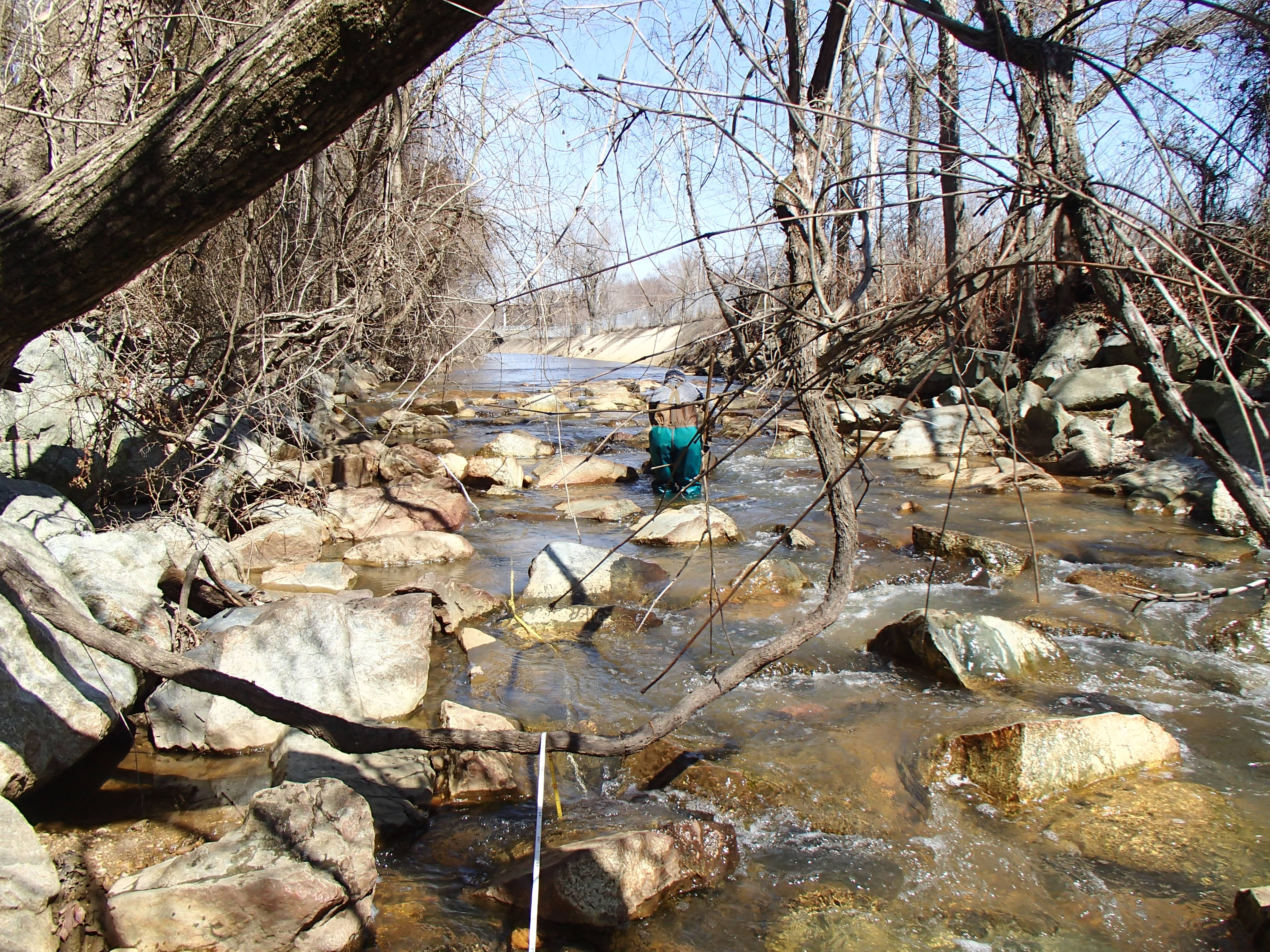 Field photo showing stream conditions at site PISC-201-R-2015_Midpoint-facing-upstream