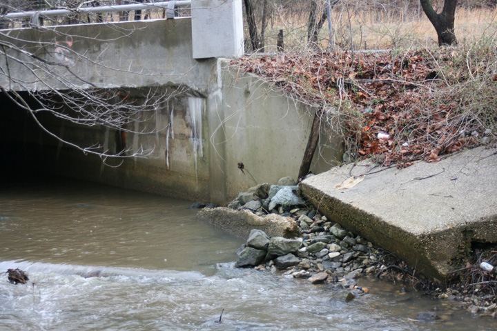 Field photo showing stream conditions at site PISC-202-X-2011-1