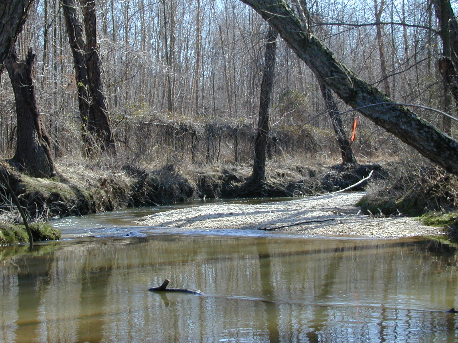 Field photo showing stream conditions at site PISC-207-R-2001-107