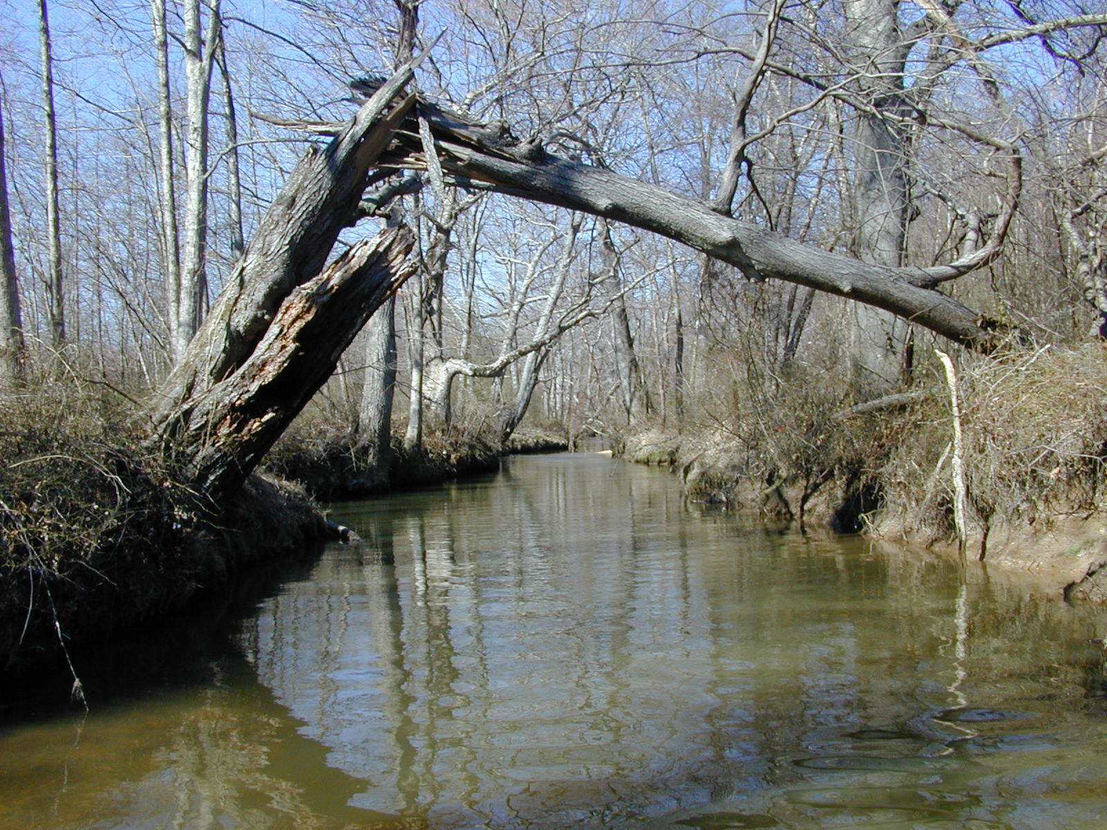 Field photo showing stream conditions at site PISC-207-R-2001-108