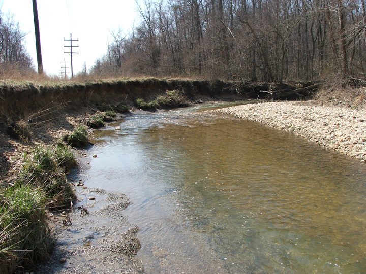 Field photo showing stream conditions at site PISC-207-R-2008-2