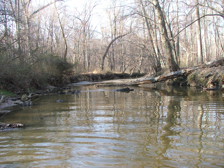 Field photo showing stream conditions at site PISC-208-R-2008-1