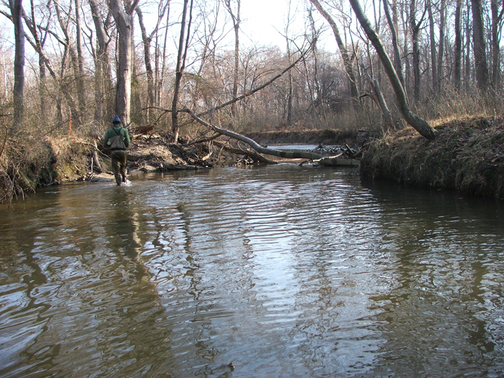 Field photo showing stream conditions at site PISC-208-R-2008-2