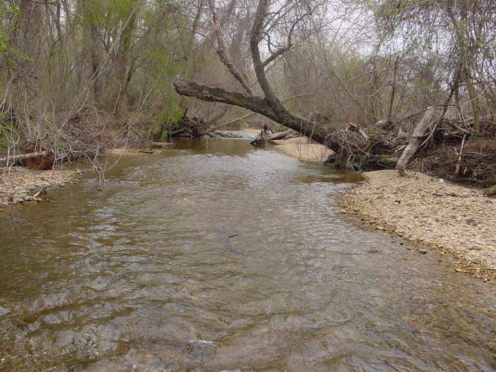 Field photo showing stream conditions at site PISC-211-B-2007-1