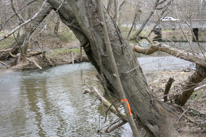 Field photo showing stream conditions at site PISC-327-A-2011-1