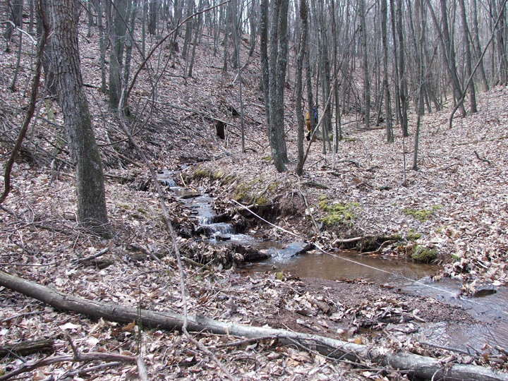 Field photo showing stream conditions at site PRAL-102-R-2008-2