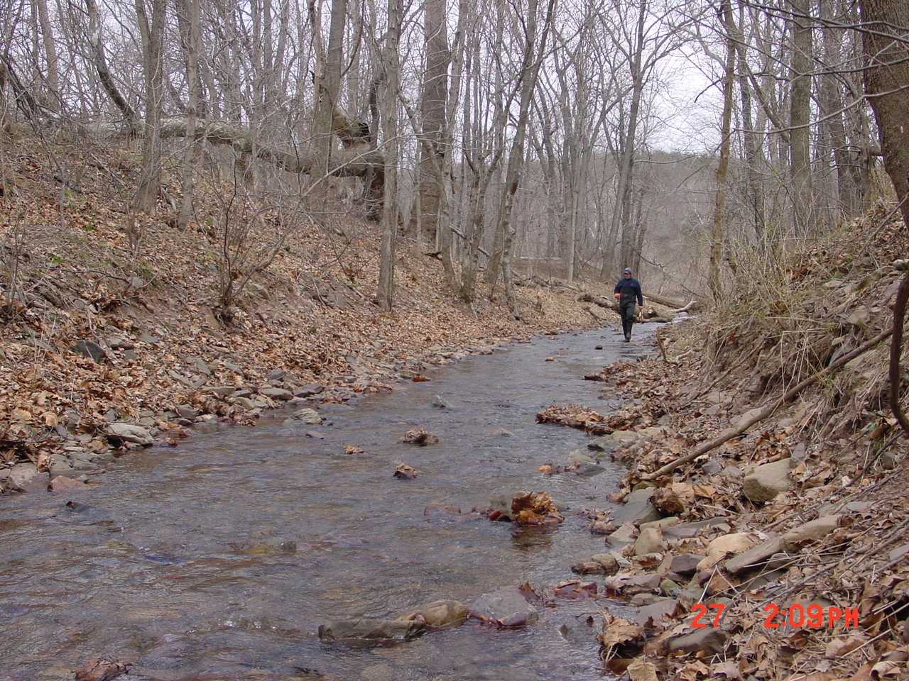 Field photo showing stream conditions at site PRAL-104-R-2001-1