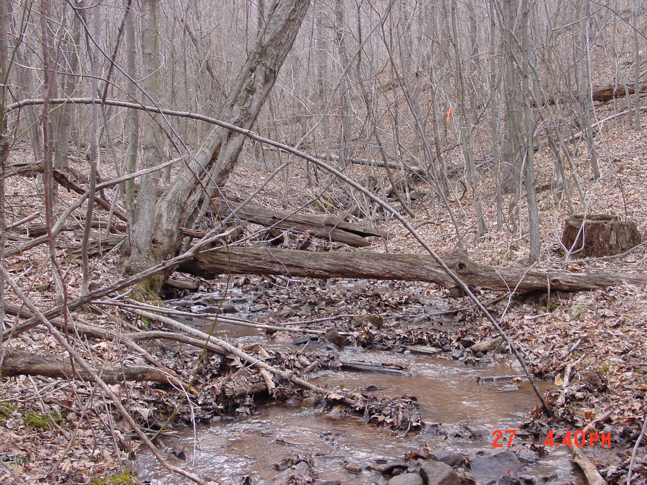 Field photo showing stream conditions at site PRAL-106-R-2001-1