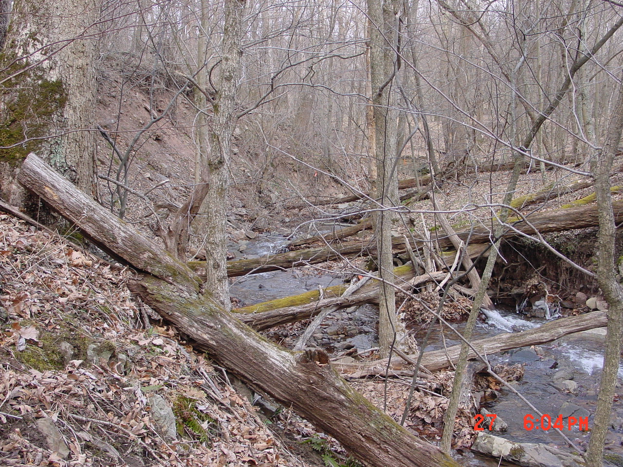 Field photo showing stream conditions at site PRAL-107-R-2001-1