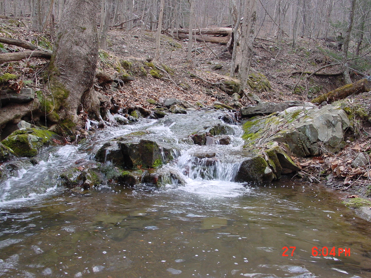 Field photo showing stream conditions at site PRAL-107-R-2001-2