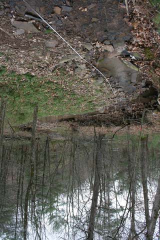 Field photo showing stream conditions at site PRAL-191-A-2012-MidpointDownstream