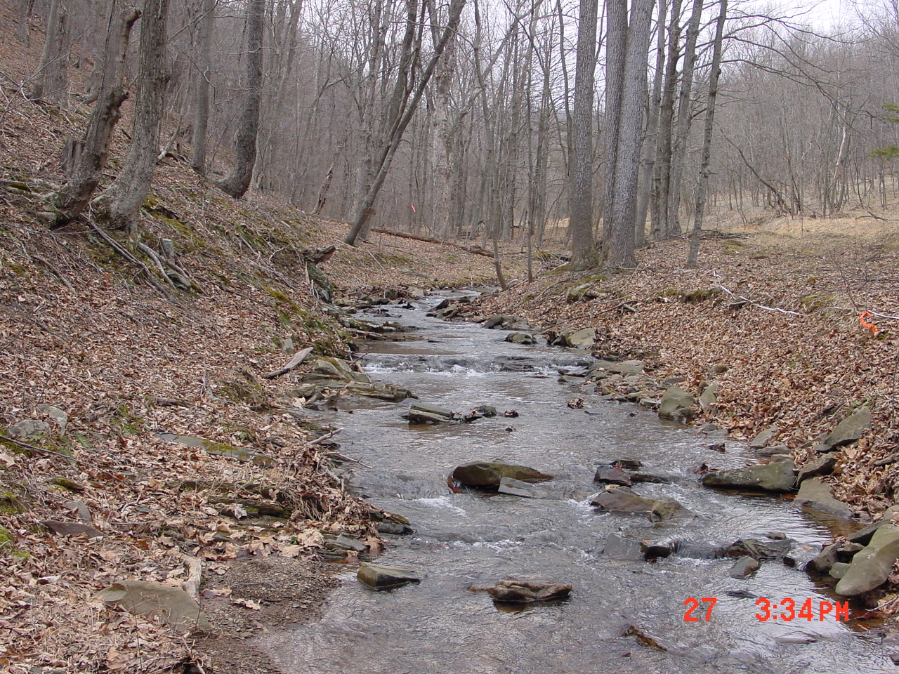 Field photo showing stream conditions at site PRAL-208-R-2001-1