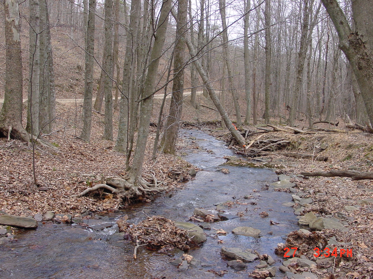 Field photo showing stream conditions at site PRAL-208-R-2001-2