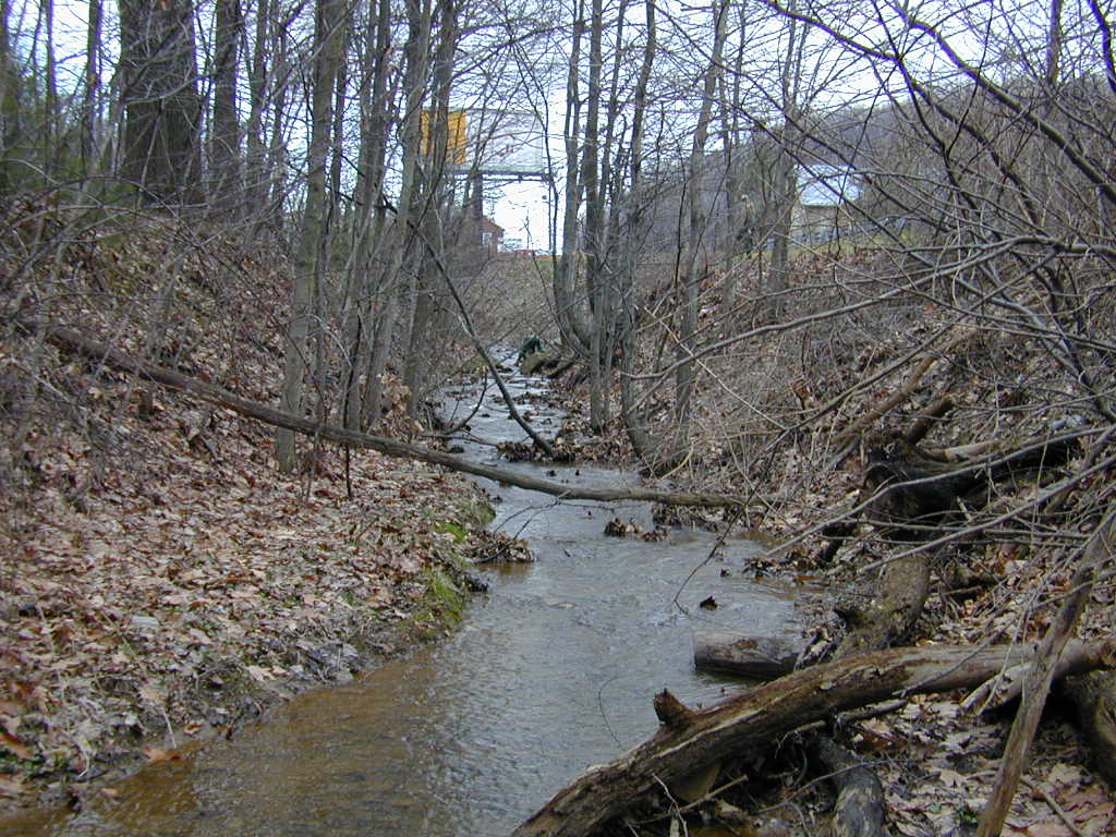 Field photo showing stream conditions at site PRET-101-R-2000-01