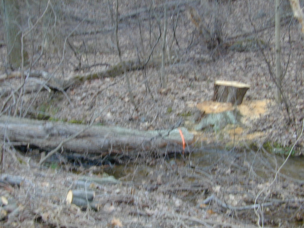 Field photo showing stream conditions at site PRET-101-R-2000-02