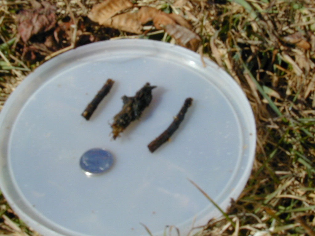 Field photo showing stream conditions at site PRET-102-R-2000-03