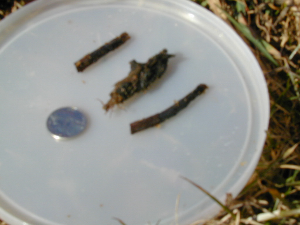 Field photo showing stream conditions at site PRET-102-R-2000-04