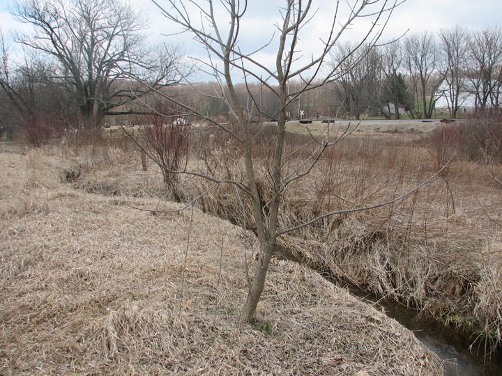 Field photo showing stream conditions at site PRET-102-R-2008-1