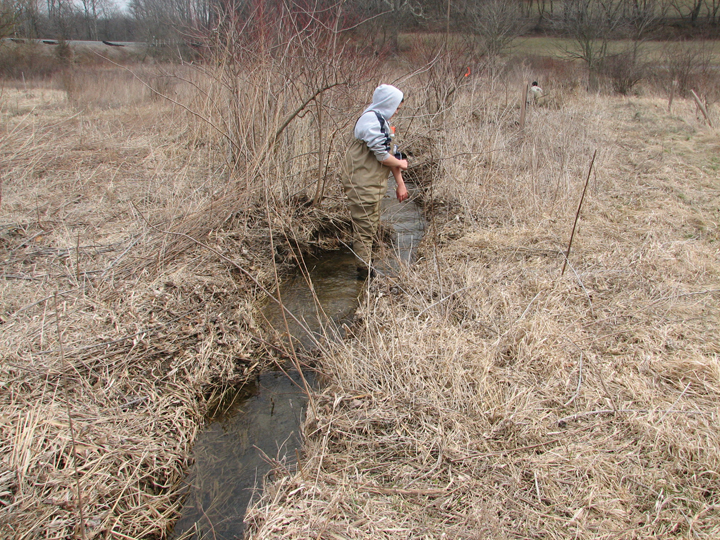 Field photo showing stream conditions at site PRET-102-R-2008-2