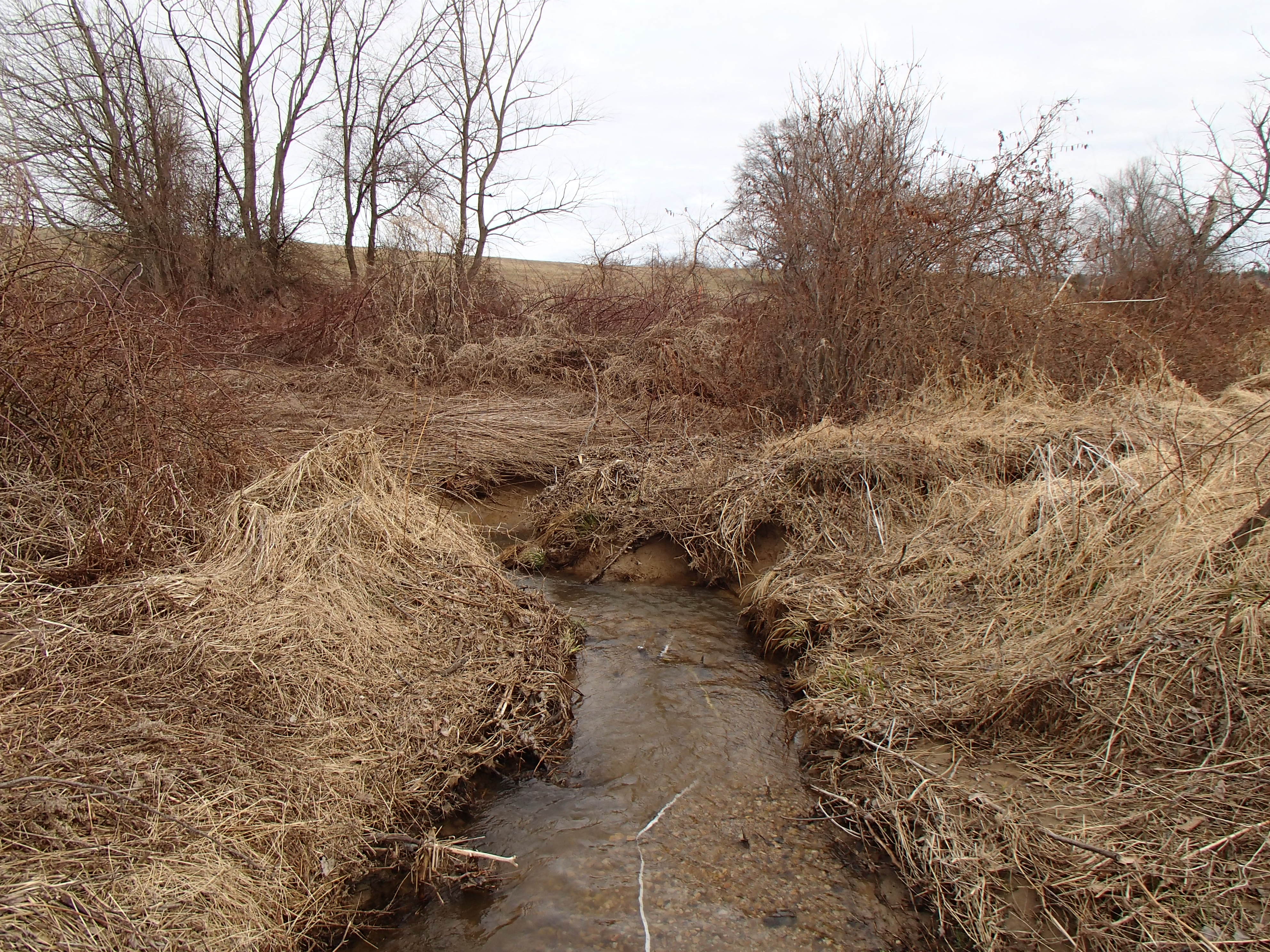 Field photo showing stream conditions at site PRET-102-R-2014-2